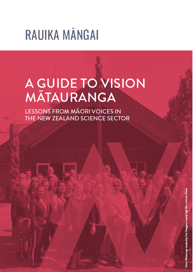 A Guide to Vision Matauranga cover