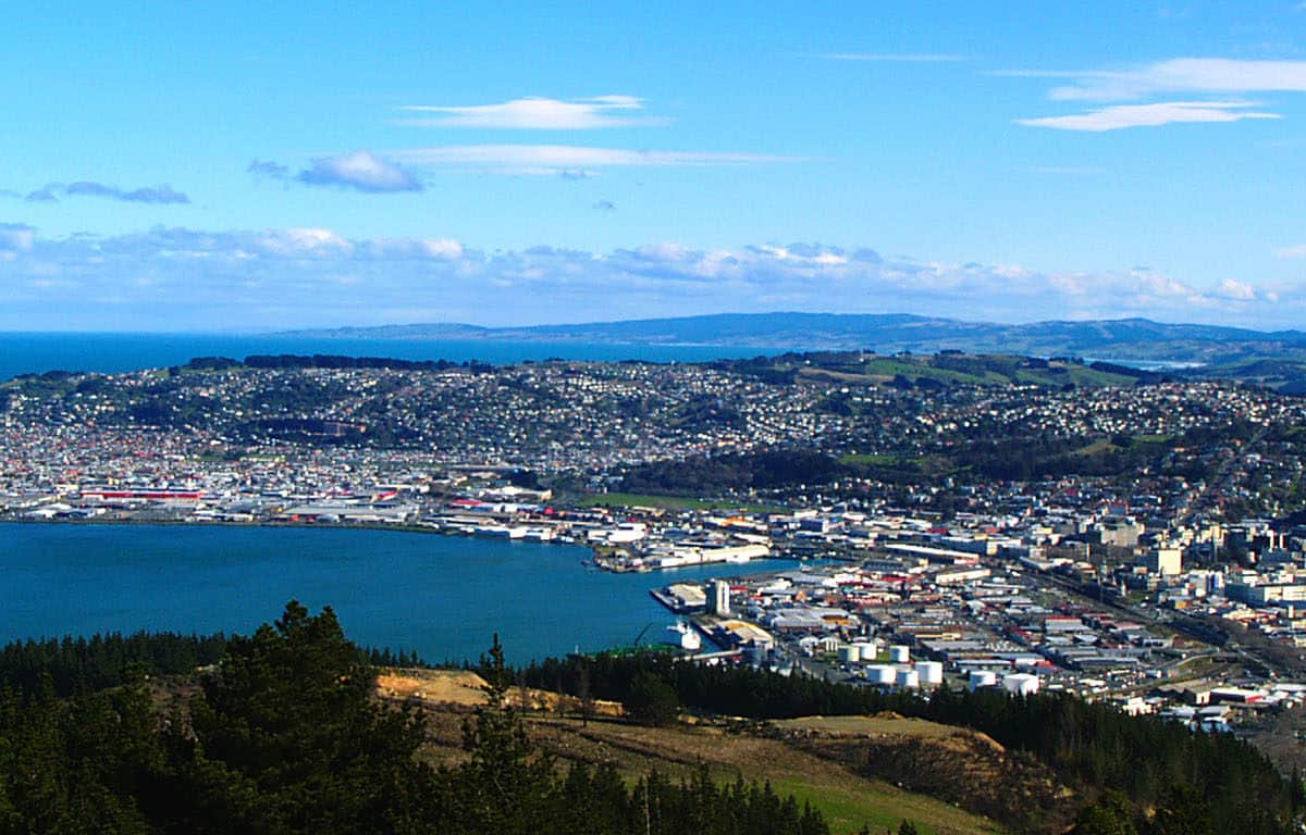 Dunedin Panorama