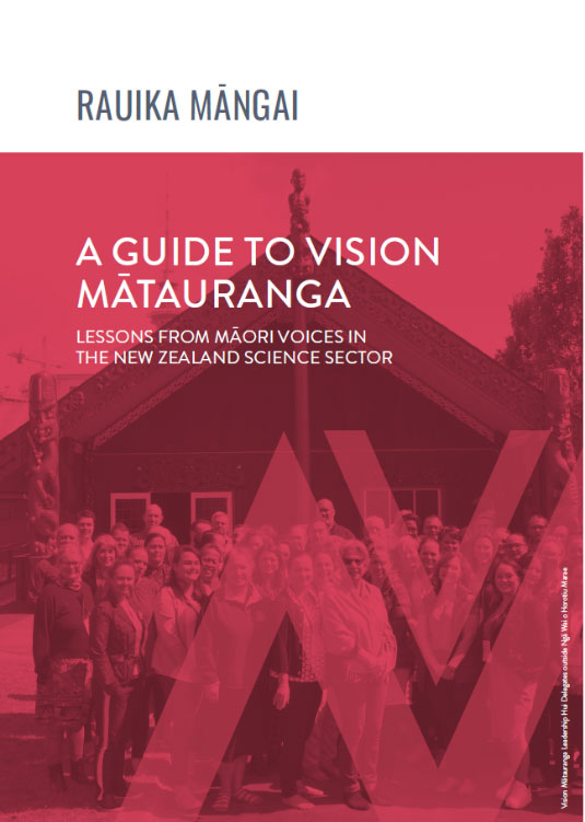 A Guide To Vision Matauranga